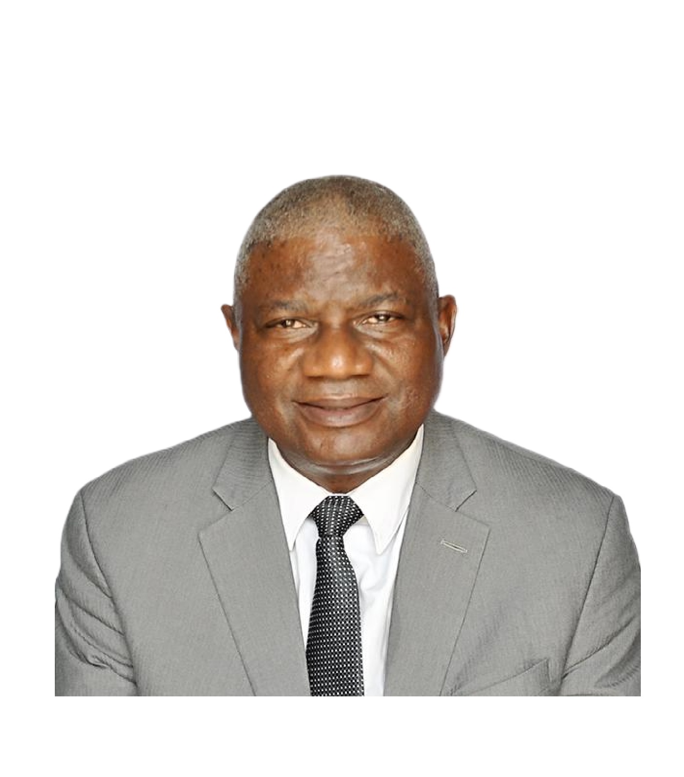 Olarewaju Lekan Stephen, FCIB